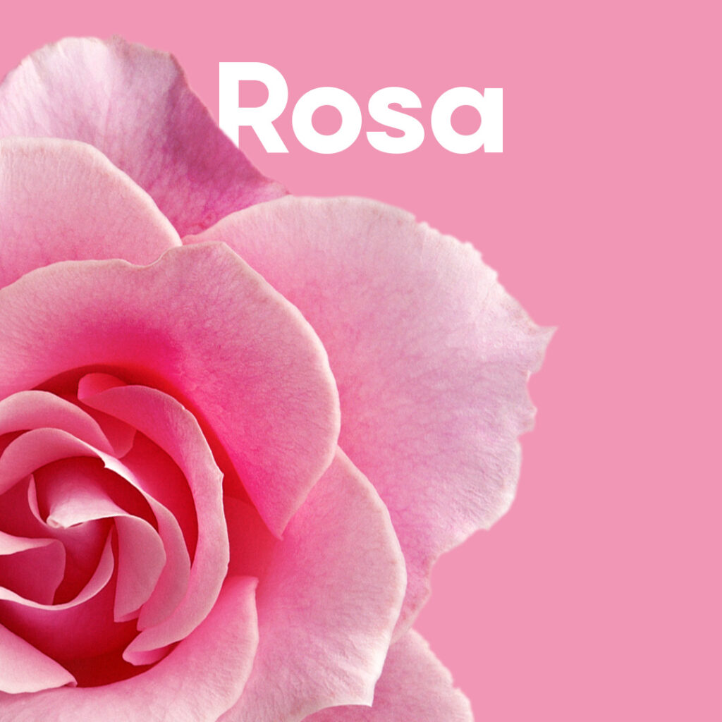 Psicología del color rosa